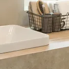 モールテックス